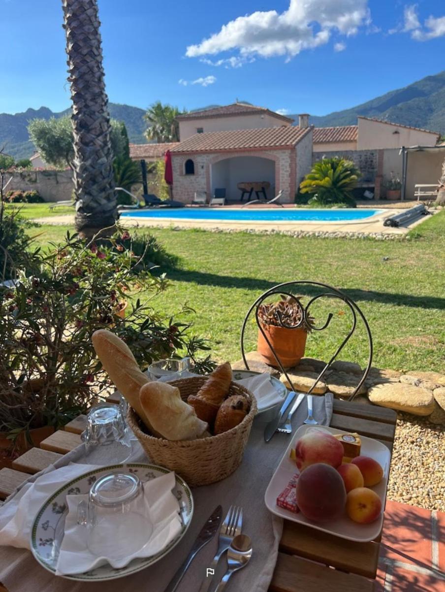 Mas Cairou Bed & Breakfast Sorède Dış mekan fotoğraf